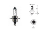 H4 Basic 24V 75/70W P43t